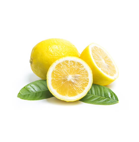sunnifoodintl.com