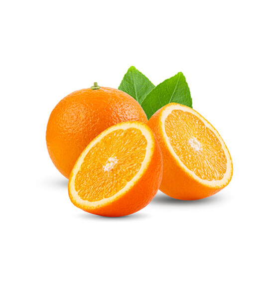 sunnifoodintl.com